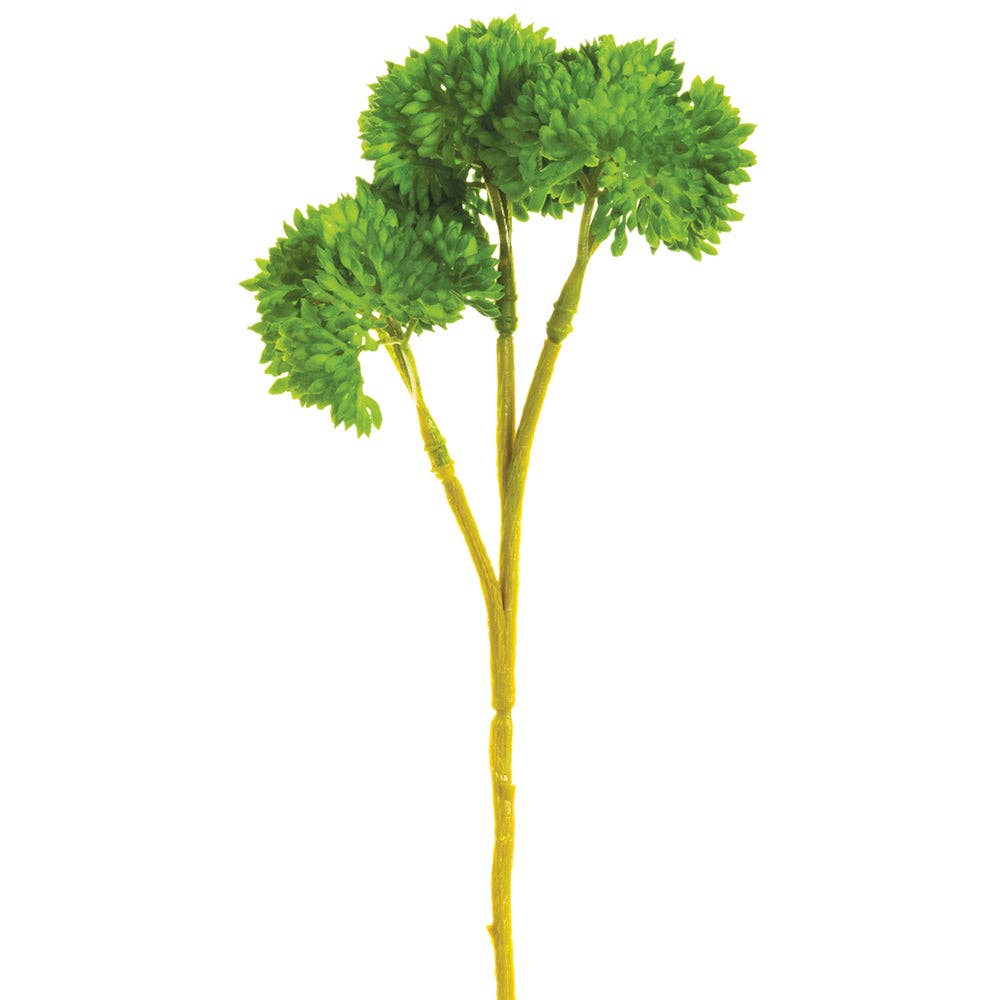 8" Sedum Pick Bundle