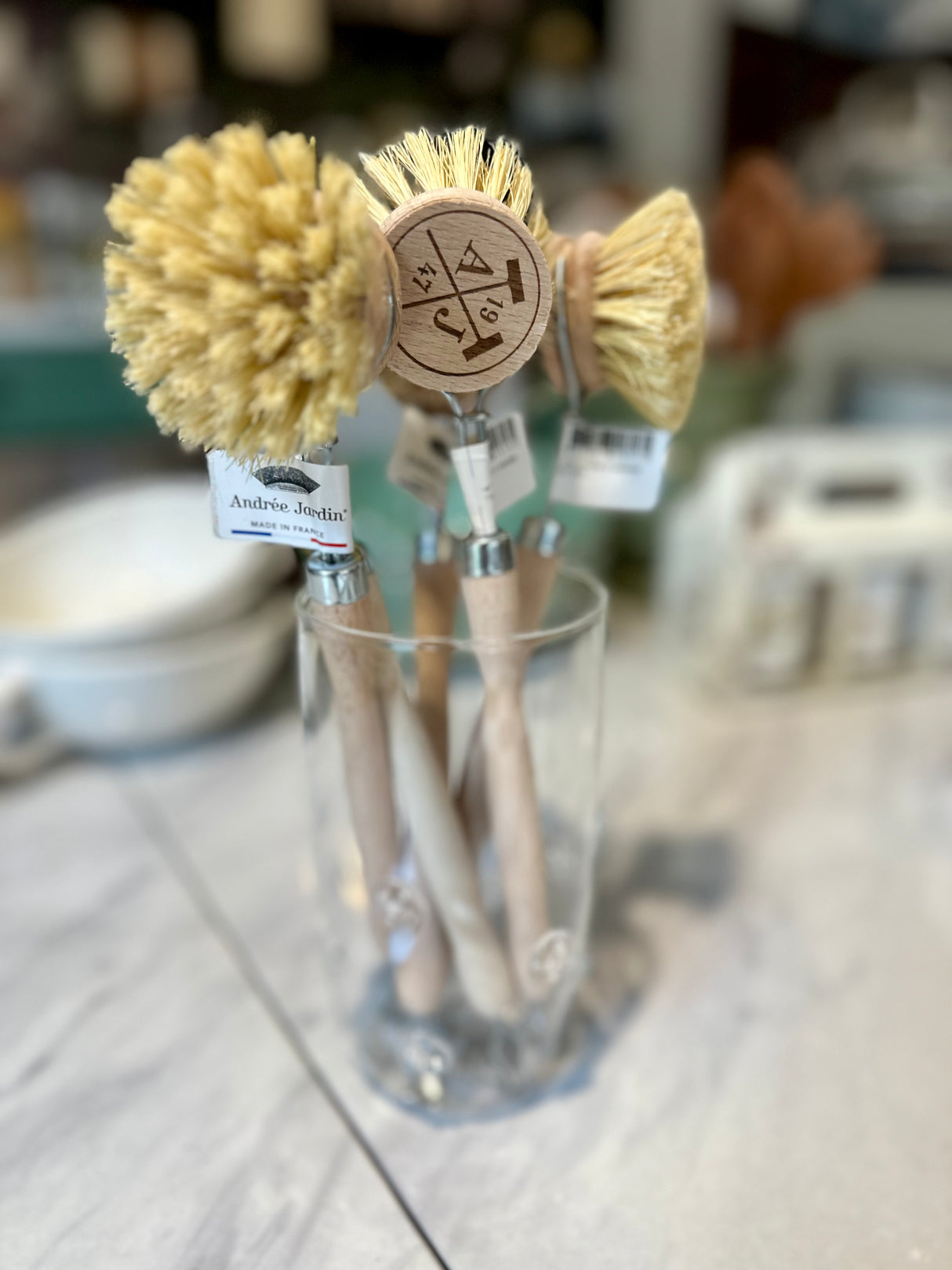 Handled Dish Brush