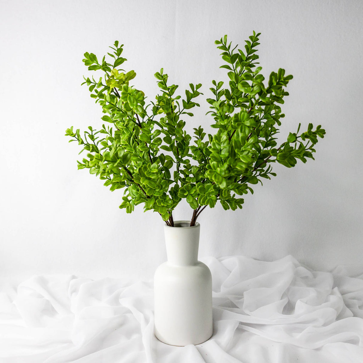 Brush Box Stems