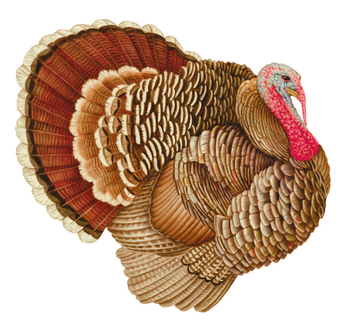 Turkey Paper Platemats