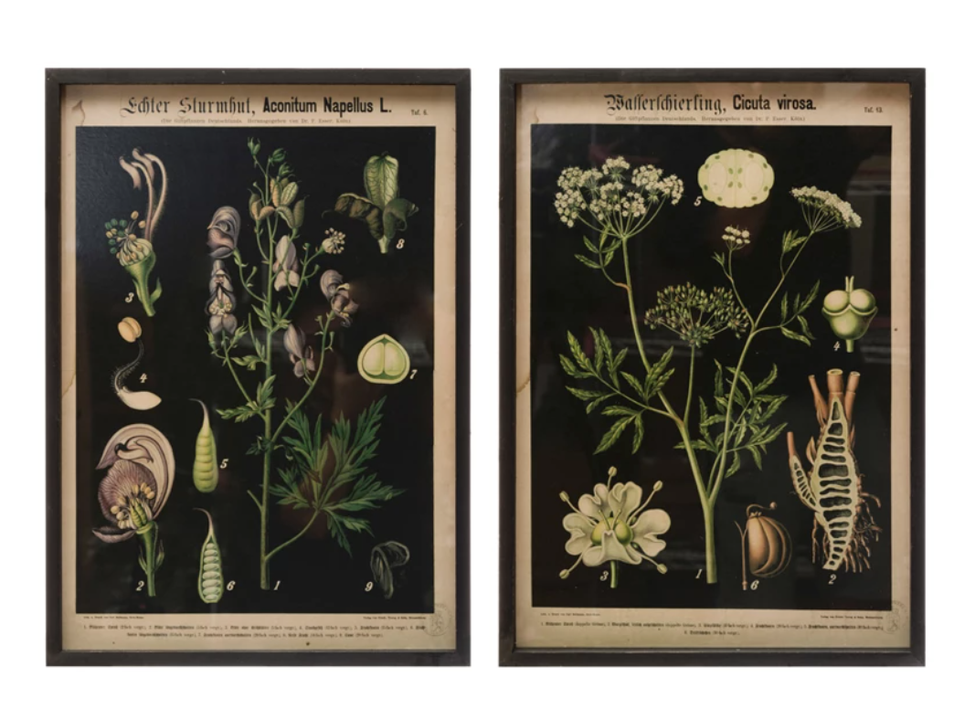 Framed Wall Decor with Botanicals, 2 Styles