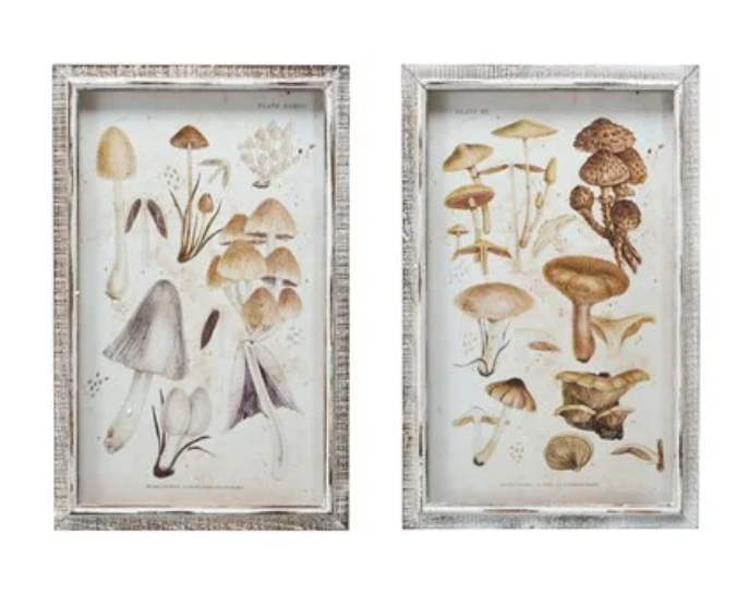 Wood Framed Glass Wall Décor w/ Mushrooms Print